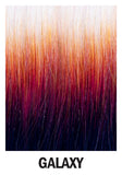 SPECTRUM