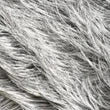 Boss Wig® Human Hair MH1413 Bernice