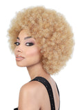 AFRO B Synthetic Wig