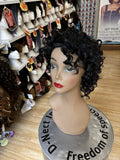 VIVICA A FOX EXPRESS WIG HW390-V